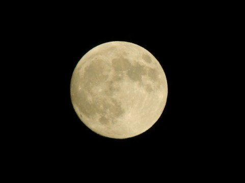 �A��,�z��